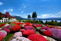 四季折々にたくさんの花が咲き誇る、山のホテルの大庭園