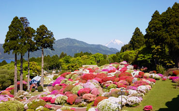 庭園 イメージ