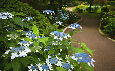 庭園 イメージ