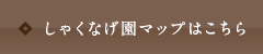 しゃくなげ園マップはこちら