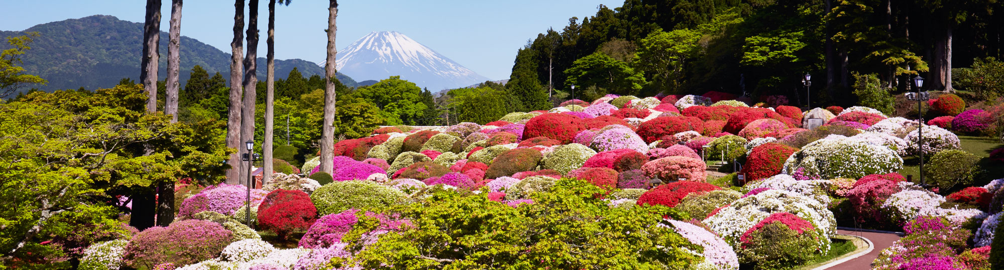 庭園 イメージ