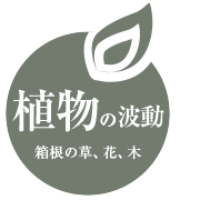 植物の波動