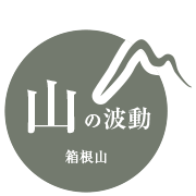 山の波動