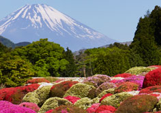 ホテル庭園情報