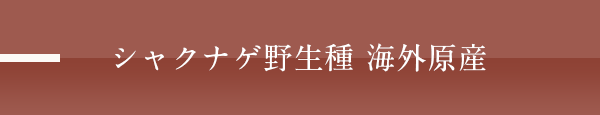 シャクナゲ野生種 海外原産