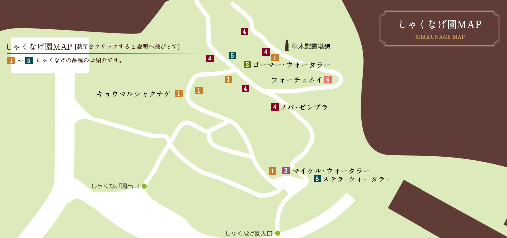 しゃくなげ園MAP