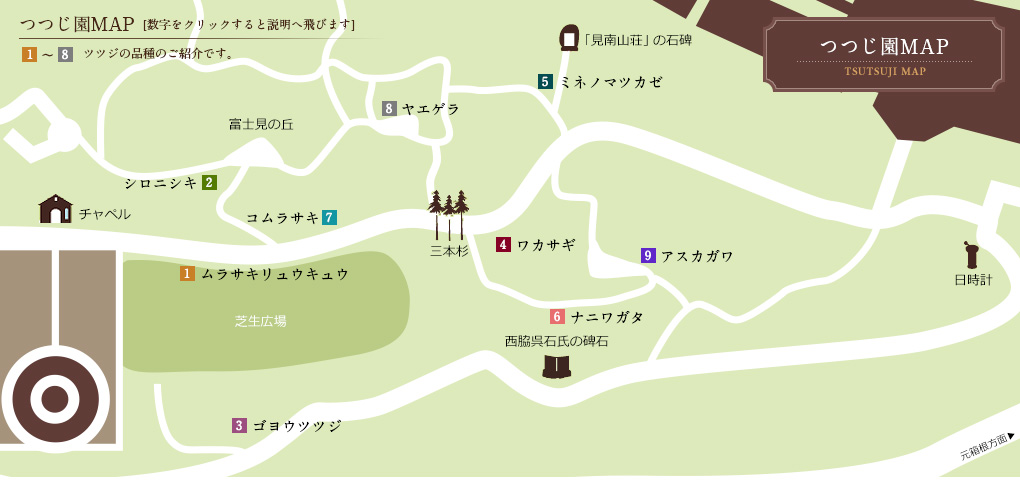 つつじ園MAP