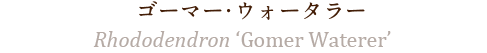 ゴーマー・ウォータラー