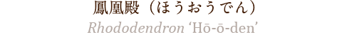 鳳凰殿（ほうおうでん）