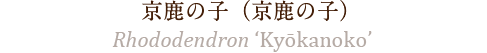 京鹿の子（きょうかのこ）
