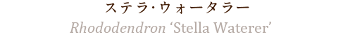 ステラ・ウォータラー